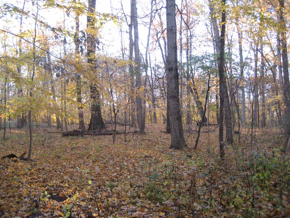 IMG_0146 Butler Land Company